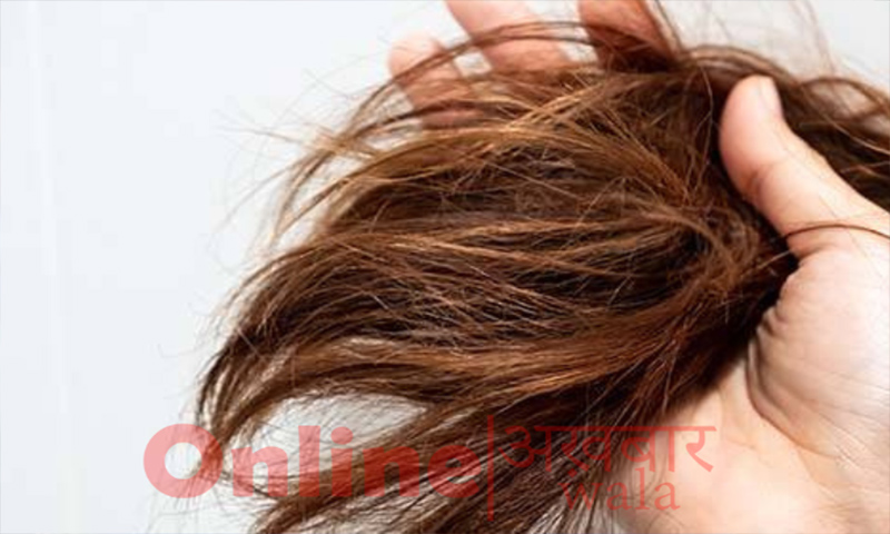 How can you take care of your dry hair - What Is Dry Hair