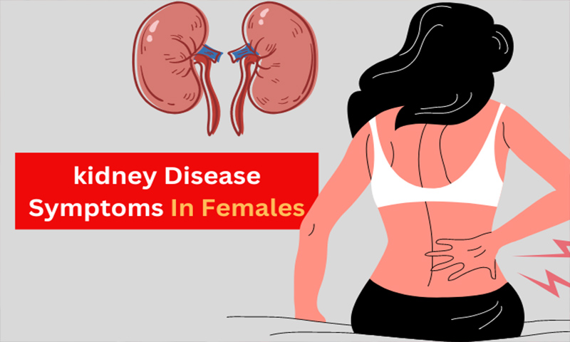 kidney Disease Symptoms In Females In Hindi
